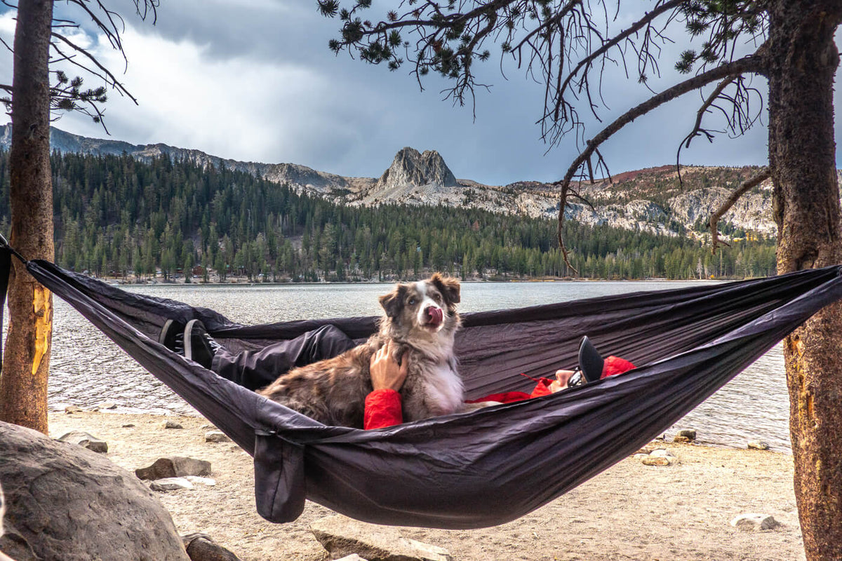 A person and a dog in an ENO hammock with a lake and a mountain in the background