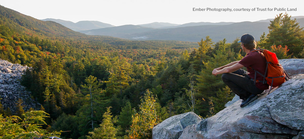 Person sitting on a rocky outcrop overlooking a forested valley with mountains in the distance.