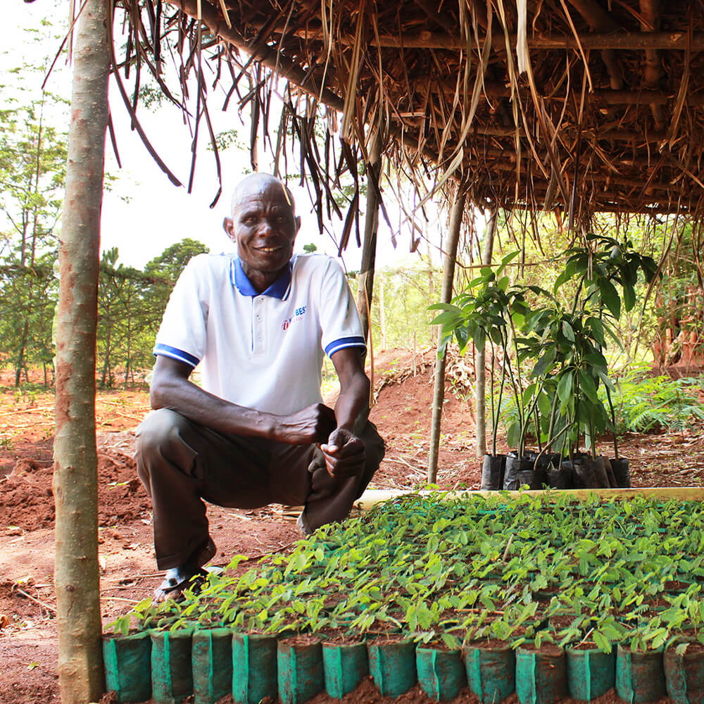ENO Sustainable Picks | Planting Trees For Every Hammock Sold