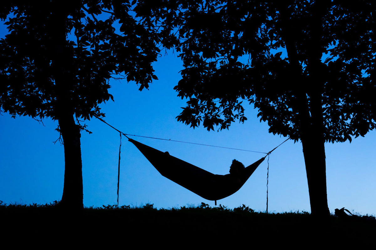 Black figures, shadow-like of a man in an ENO hammock between two trees and the Microtune Structural Hammock Ridgeline is over them all