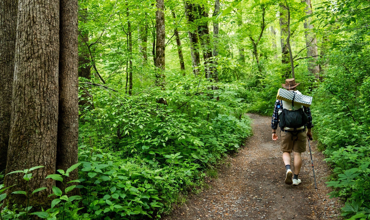 A man backpacks through the WNC woods. 