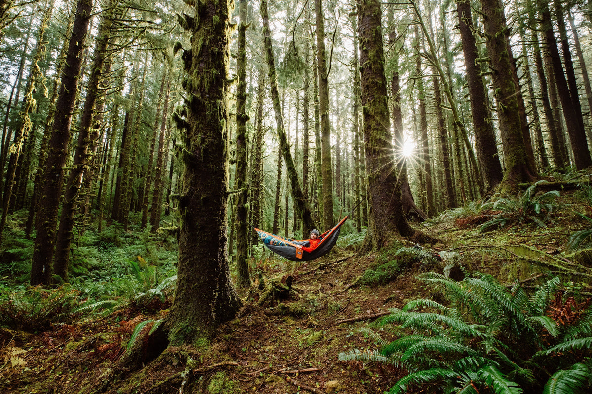 A man hammocking in an ENO Hammock in a forest