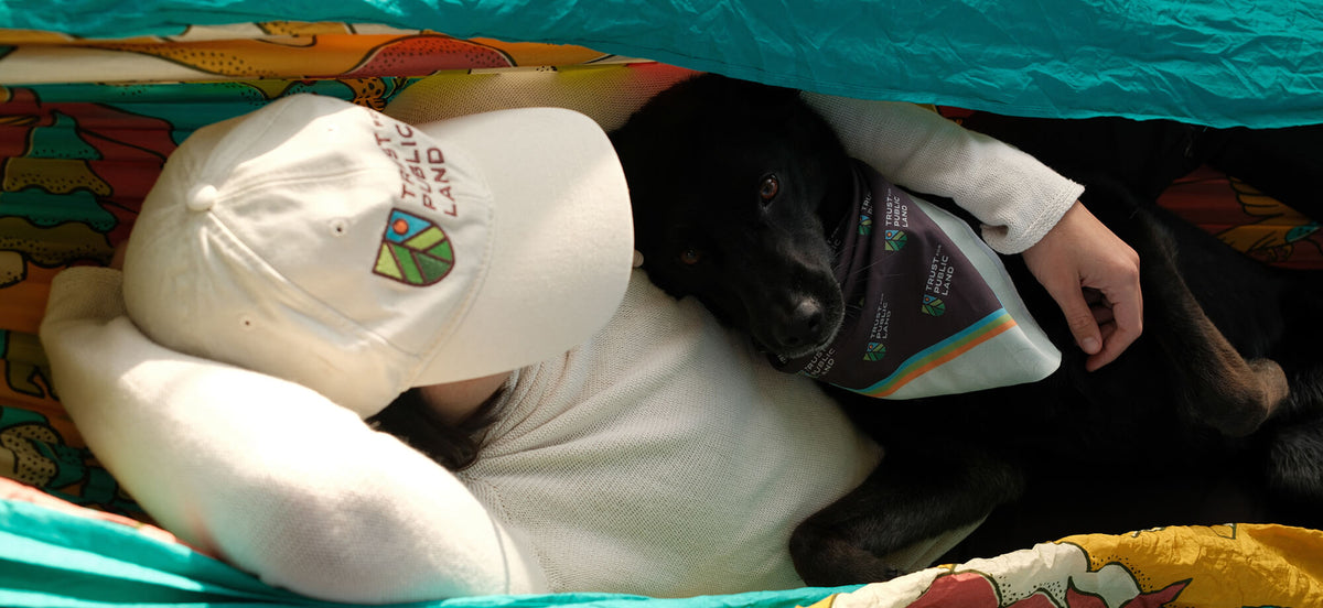Person laying in an ENO Giving Back Hammock with a dog laying with them.